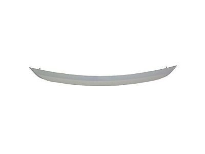 Ford AE5Z-8200-B Lower Grille