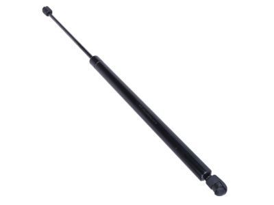 Ford YL8Z-78406A10-AA Lift Assembly - Gas, Passenger Side