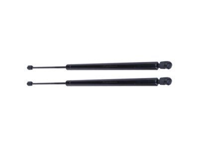 Ford YL8Z-78406A10-AA Lift Assembly - Gas, Passenger Side