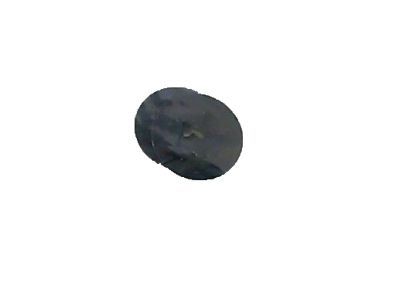 Mercury -N801192-S32B Nut - Spring                       