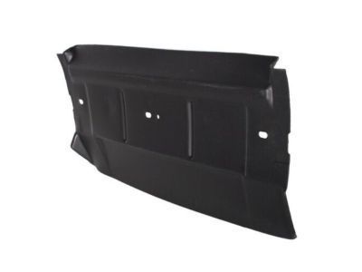 Ford 3W1Z-8327-AA Air Deflector, Front Center