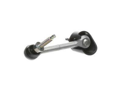 Ford DG1Z-5K484-B Stabilizer Link, Rear Driver Side