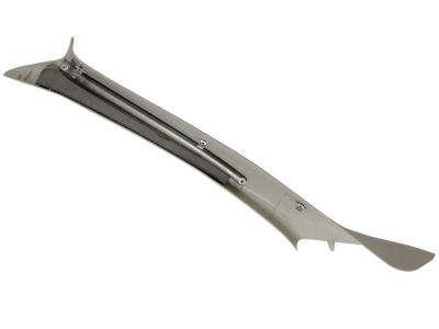Ford 1F1Z-5403598-AAB Moulding - Windshield