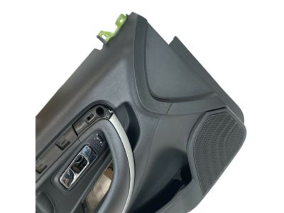Ford DG1Z-5423943-AE Door Trim Panel