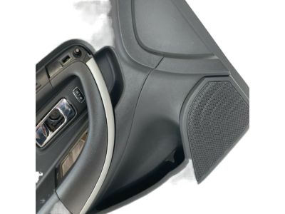 Ford DG1Z-5423943-AE Door Trim Panel