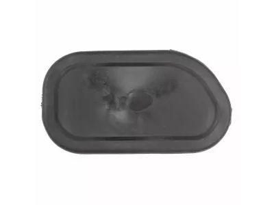 Ford F2UZ-15020A51-A Plug, Driver Side