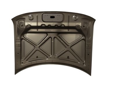 Ford 8A8Z-16612-A Hood Assembly