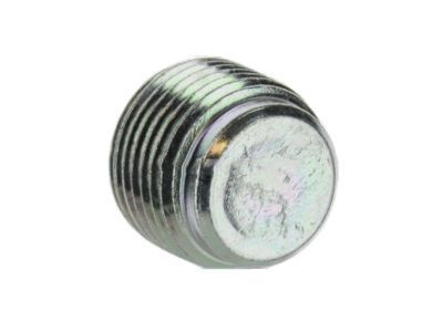 Lincoln -W700251-S437 Differential Assy Plug