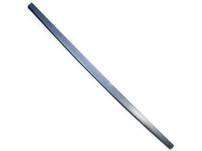 Ford 5L3Z-9940602-AAA Tail Gate Molding, Rear
