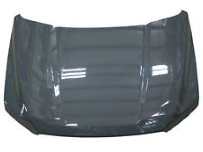 Ford FL3Z-16612-A Hood Assy