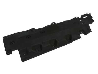 Ford K2GZ-5811782-B Deflector, Driver Side