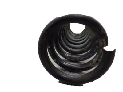 Ford CV6Z-5560-E Coil Spring, Rear