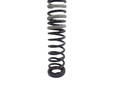 Ford CV6Z-5560-E Coil Spring, Rear