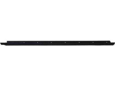 F4ZZ-6321452-A Ford Weatherstrip Assembly - Door Window, Passenger Side Product Photo 1 of 1