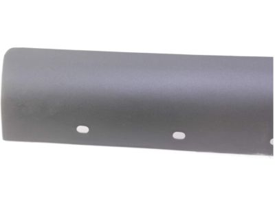 Ford F65Z-99292A22-BAA Stone Guard