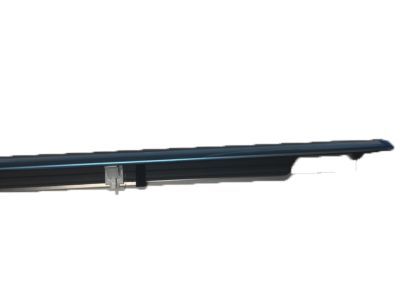 Ford AG1Z-5421453-A Belt Weatherstrip, Front Outer Driver Side