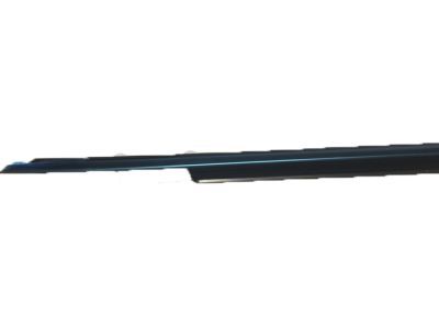 Ford AG1Z-5421453-A Belt Weatherstrip, Front Outer Driver Side