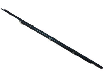 Ford AG1Z-5421453-A Belt Weatherstrip, Front Outer Driver Side