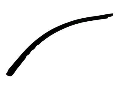 Ford 9C3Z-2851222-A Weatherstrip, Passenger Side