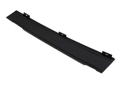 Ford 3W1Z-5420555-AAA Window Molding, Black, Driver Side