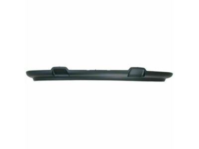 Ford 4L3Z-17626-AAB Valance Panel, Front