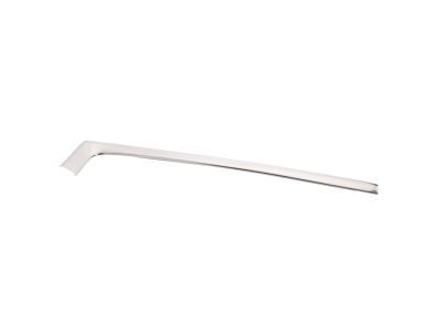 Ford EOTZ-1003136-A Reveal Molding, Passenger Side