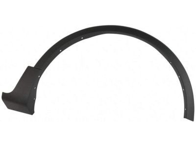 Ford EJ7Z-16268-AA Wheel Opening Molding, Passenger Side