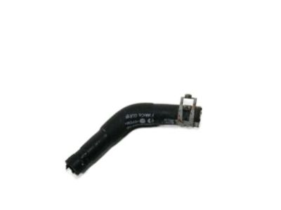 Lincoln GD9Z-8063-B Inlet Hose