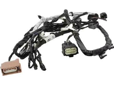 Ford FR3Z-13412-A Socket And Wire Assembly - Lamp, Rear