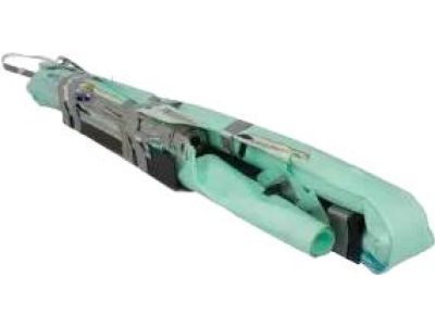 Ford FT4Z-58042D95-A Curtain Assembly, Driver Side