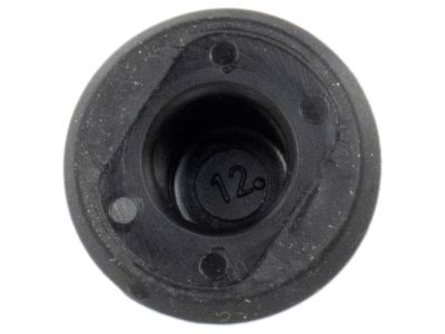 Ford BM5Z-10A862-B Plug