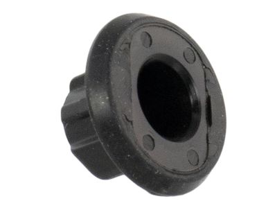 Ford BM5Z-10A862-B Plug