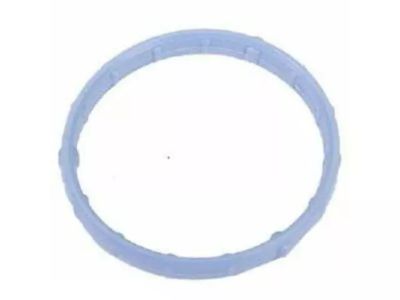 Ford 4R3Z-8C387-AA Gasket