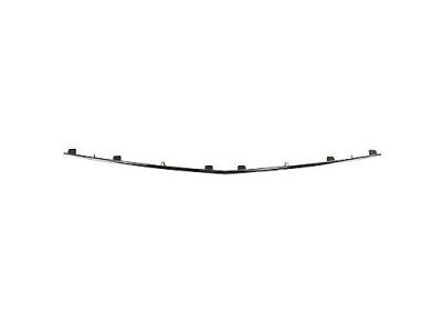 Ford DA5Z-17C830-A Molding, Front