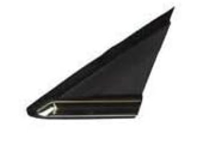 Ford ES7Z-16003-DA Upper Molding, Black, Front Driver Side