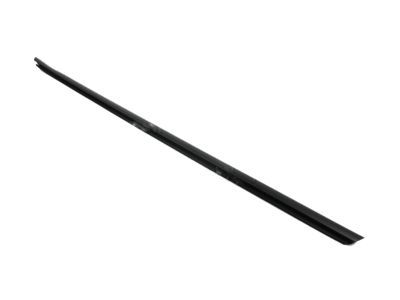 Ford AR3Z-6321453-A Belt Weatherstrip, Front Outer Driver Side