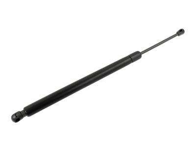 3L2Z-78406A10-AA Ford Lift Assembly - Gas, Passenger Side Product Photo 1 of 2