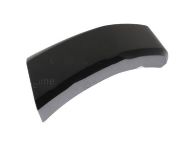 Ford HC3Z-16038-AE End Cap Molding, Black, Front Passenger Side