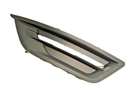 Ford DG1Z-17E811-BA Lamp Bezel