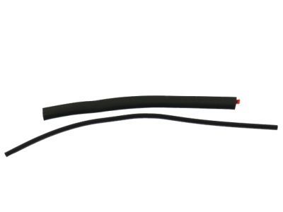 Ford AL3Z-15262A80-A Weatherstrip Assembly - Sliding Glass