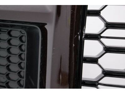 Ford JL3Z-8200-SC Grille Assy - Radiator