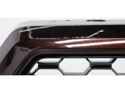 Ford JL3Z-8200-SC Grille Assy - Radiator