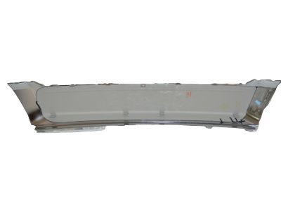 Ford BT4Z-8200-E Lower Molding