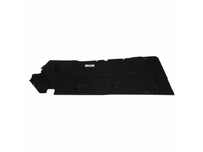 Ford CV6Z-5811782-A Deflector, Passenger Side