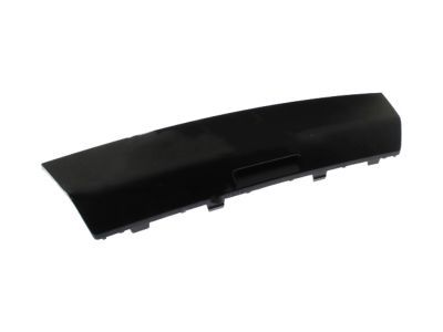 Ford FB5Z-17F000-BPTM Trim Molding, Rear