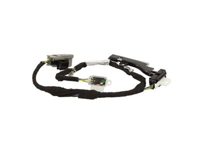 Ford DG9Z-14A318-G Wire Assembly - Accessory Feed