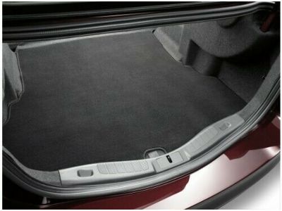 Ford DS7Z-5413046-GG Mat - Floor