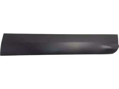 Ford CJ5Z-7820878-AB Moulding - Door Outside, Passenger Side