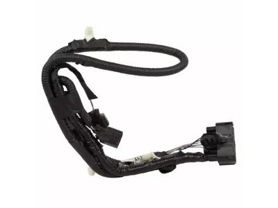 Ford JL1Z-15A211-A Wire Assembly - Fog Lamp