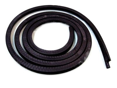 Mercury Capri Weather Strip - D9ZZ-66502C50-A